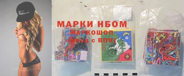 амф Пестово