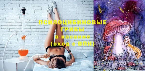 дживик Переславль-Залесский