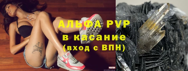 амф Пестово