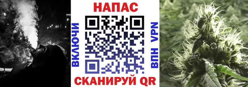 Каннабис SATIVA & INDICA  Нижняя Тура 